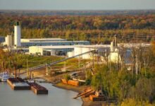 business growth and efficiency