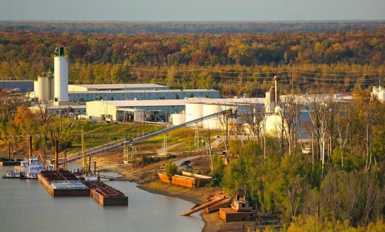 business growth and efficiency