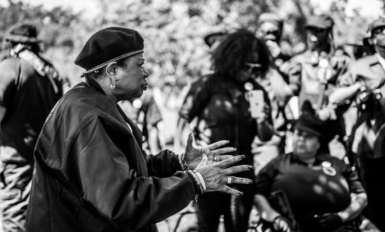 audience interaction campaign engagement