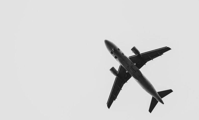 maximizing paid media roi