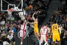 organic traffic search visibility