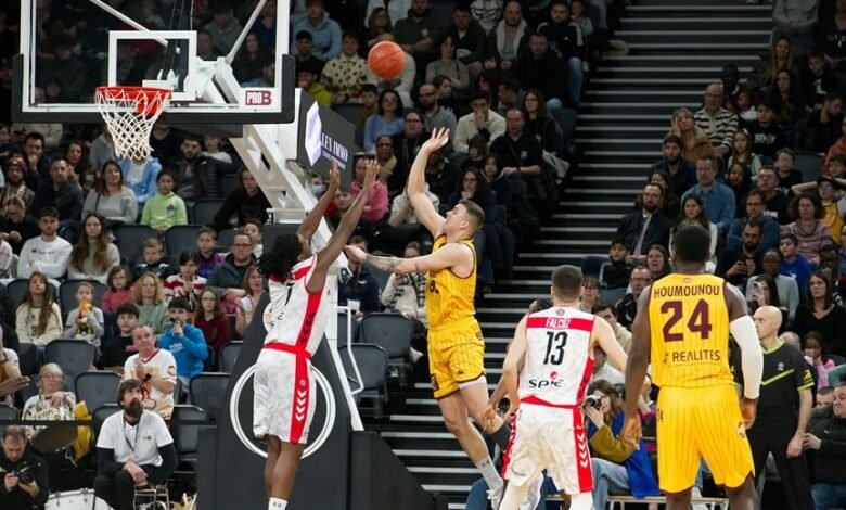 organic traffic search visibility