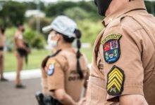 search authority ranking mastery