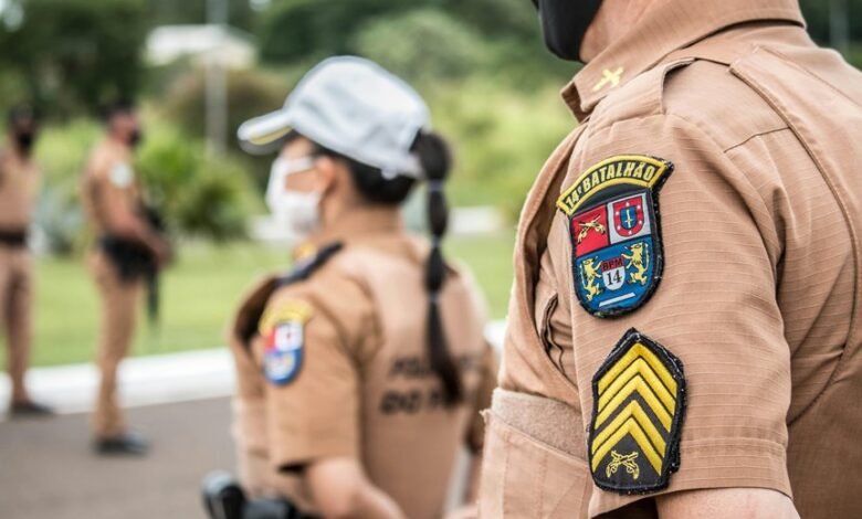 search authority ranking mastery