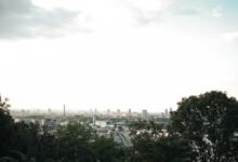 market advantage value expansion