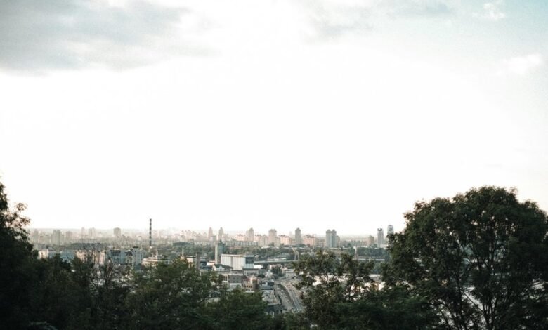 market advantage value expansion