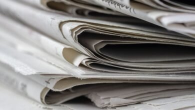 common faqs about vuzlitadersla