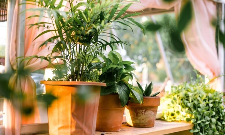 new gardening product xhasrloranit benefits